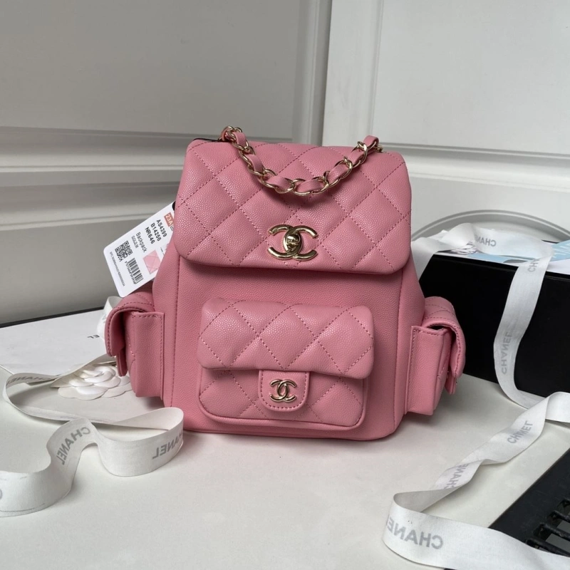 Ch**el backpacks 4016a-0122