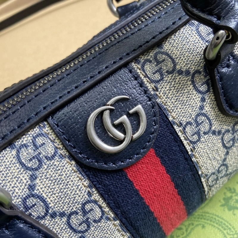 Gvc*1 speedy bags 4036c-3476