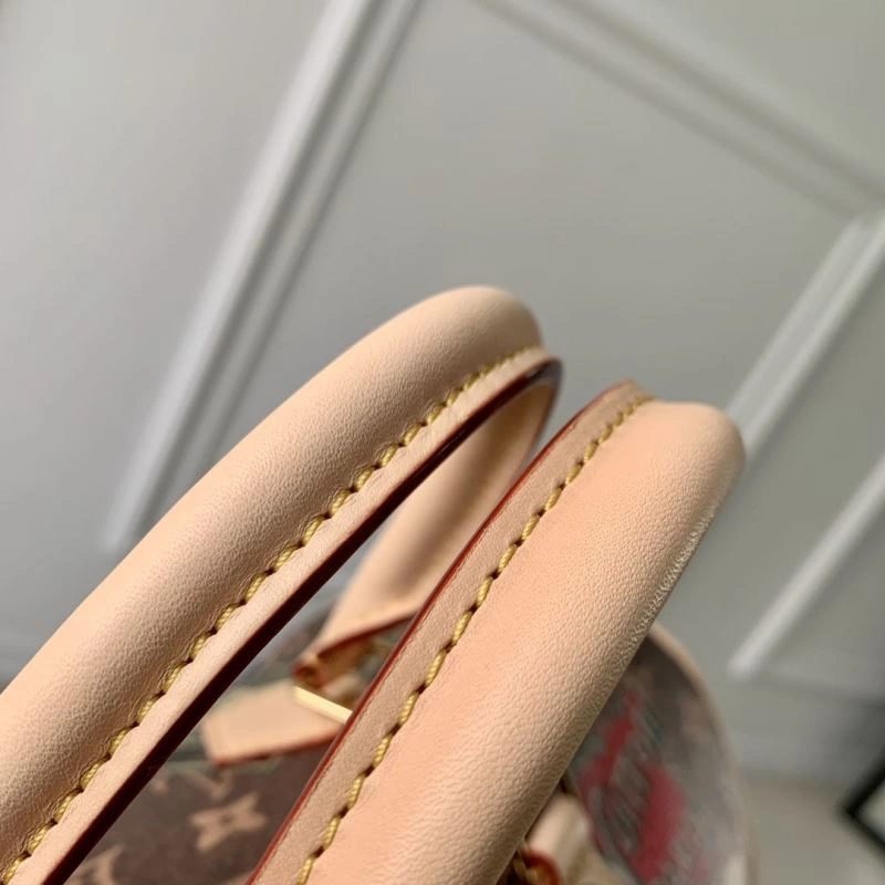 LV Speedy Bags 4048H-0244