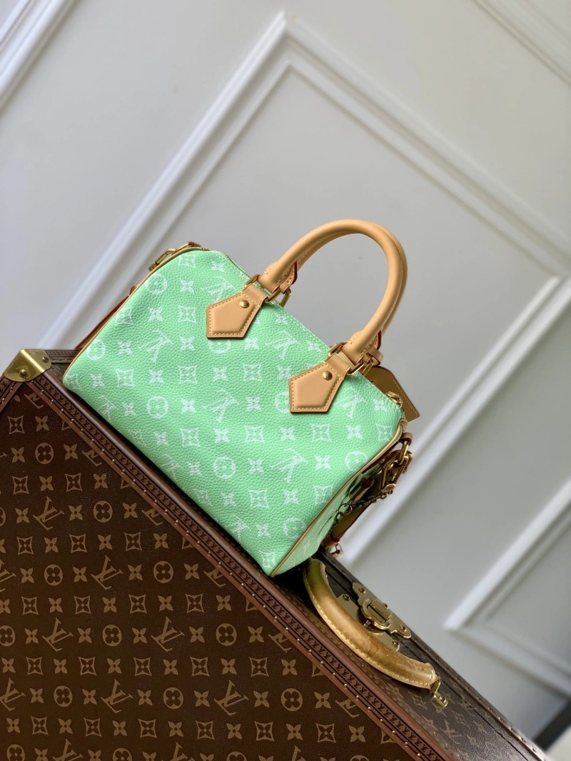 LV Speedy Bags 4048I-0343