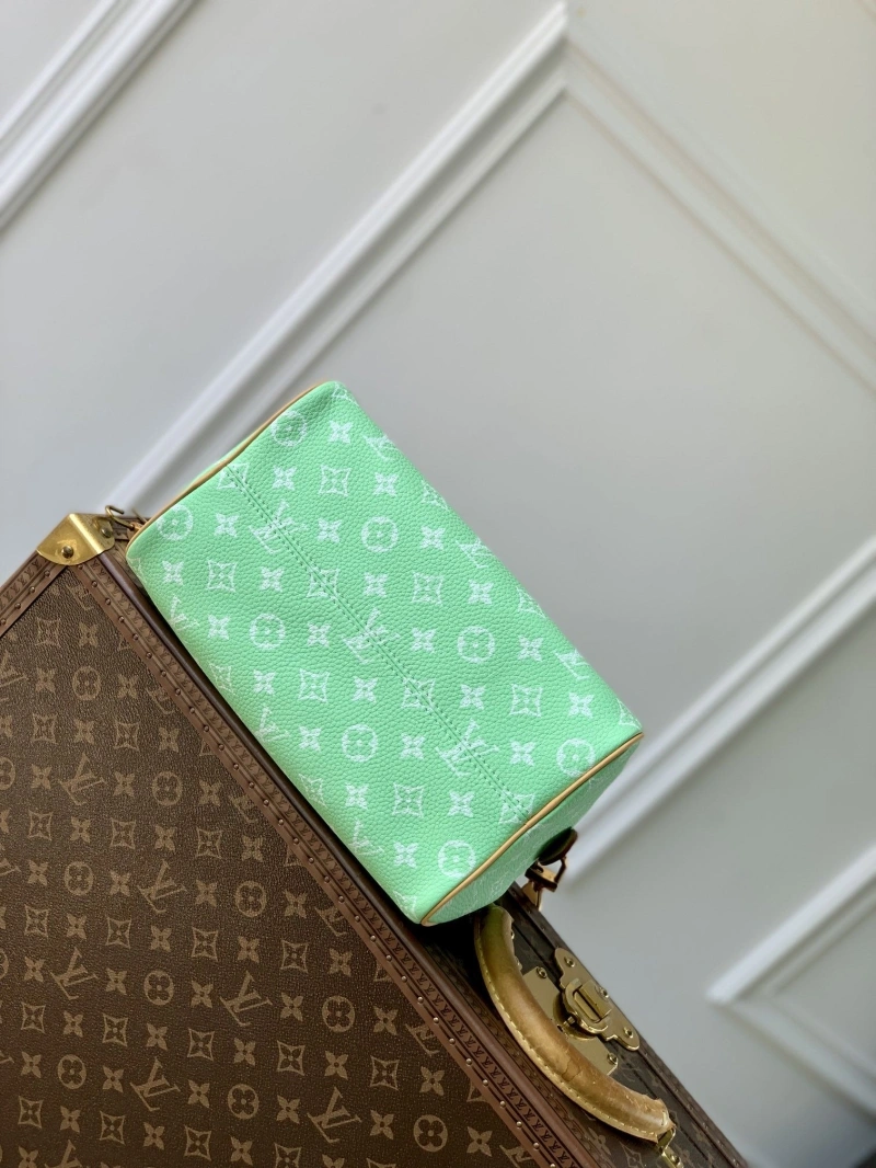LV Speedy Bags 4048I-0343