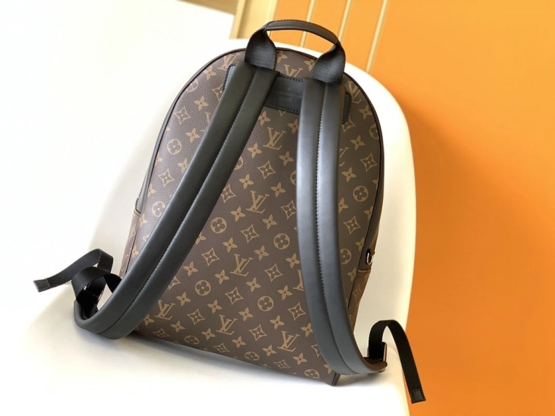 LV Backpacks 4056F-0534