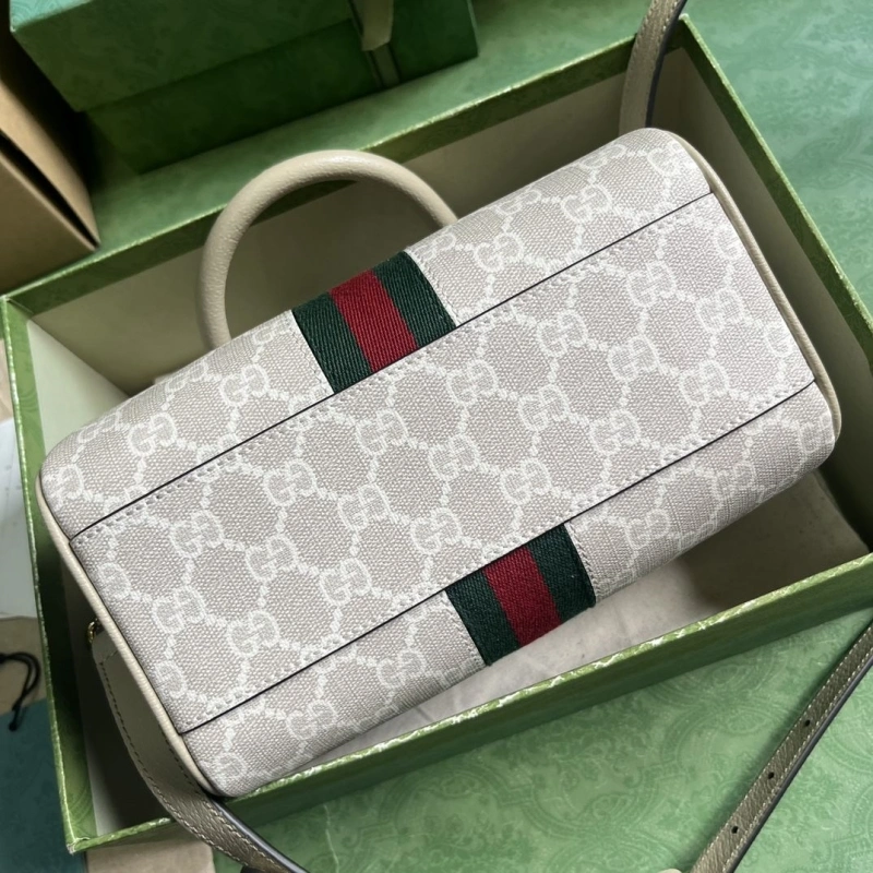Gvc*1 speedy bags 4094b-0170