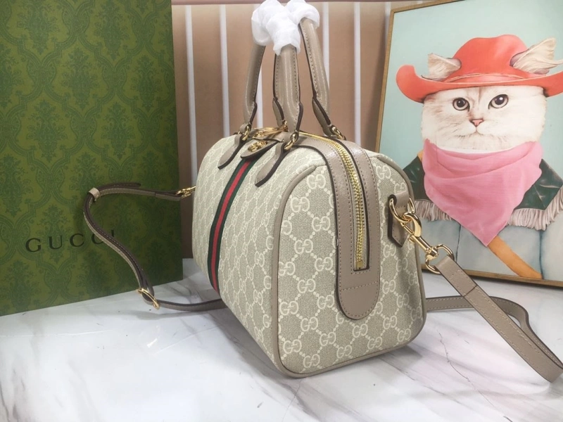 Gvc*1 speedy bags 4189a-0284