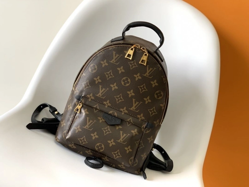 LV Backpacks 4194A-0601