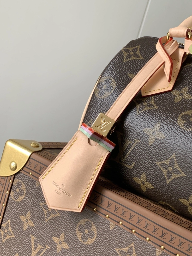 LV Speedy Bags 4194B-0076