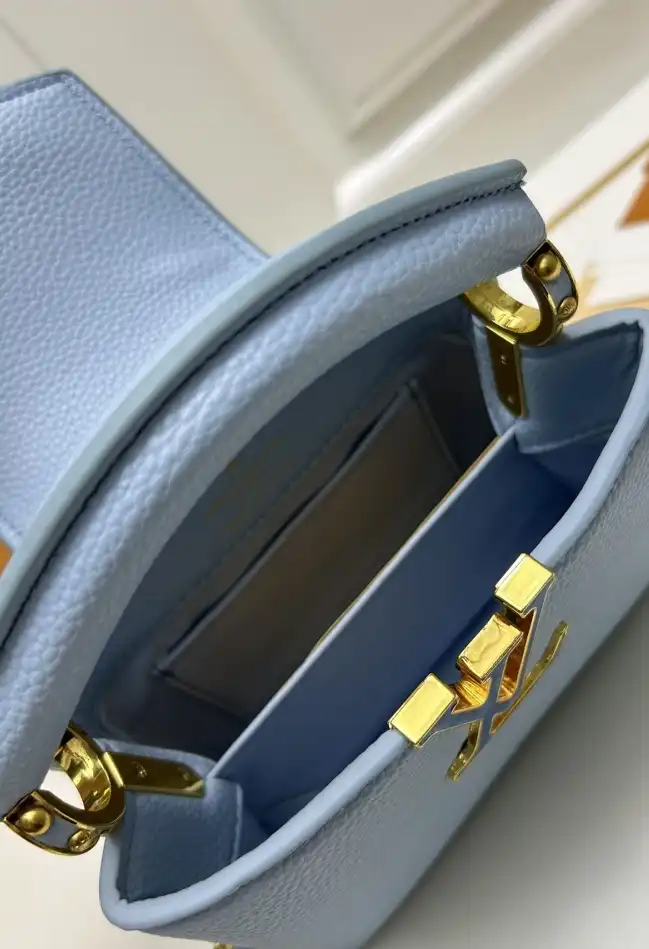 LV Capucines Bags 4224-0147