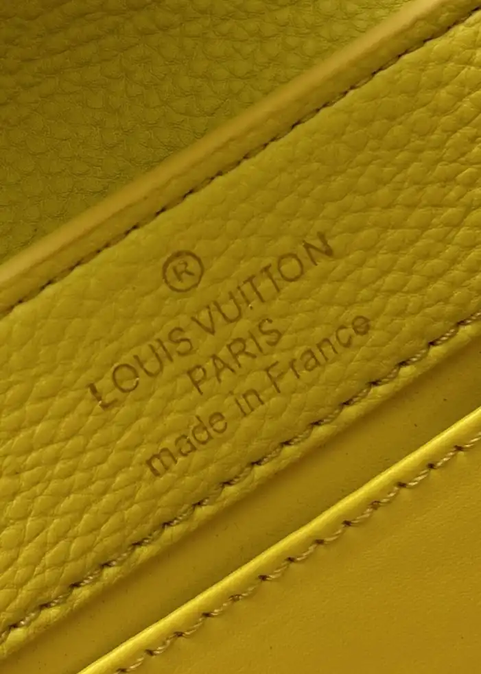LV Capucines Bags 4224-0677