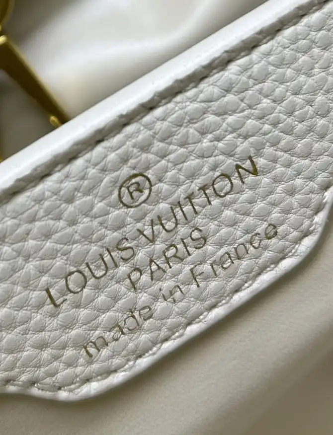 LV Capucines Bags 4224-0679