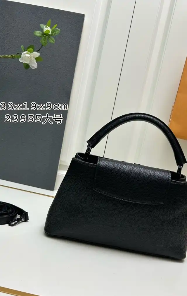 LV Capucines Bags 4224-1382
