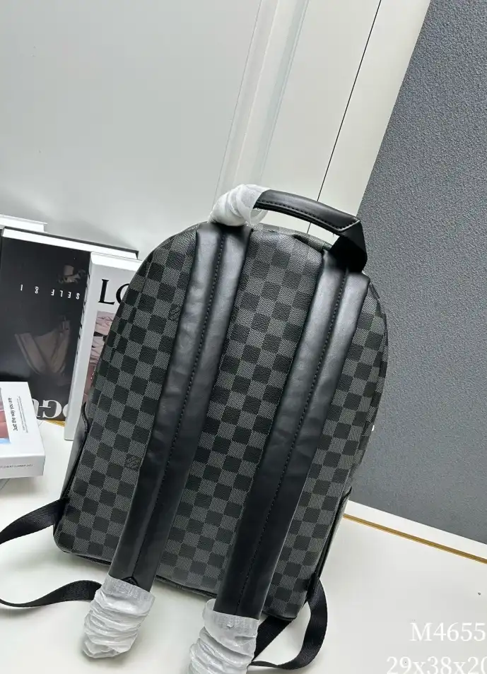 LV Backpacks 4224-1693