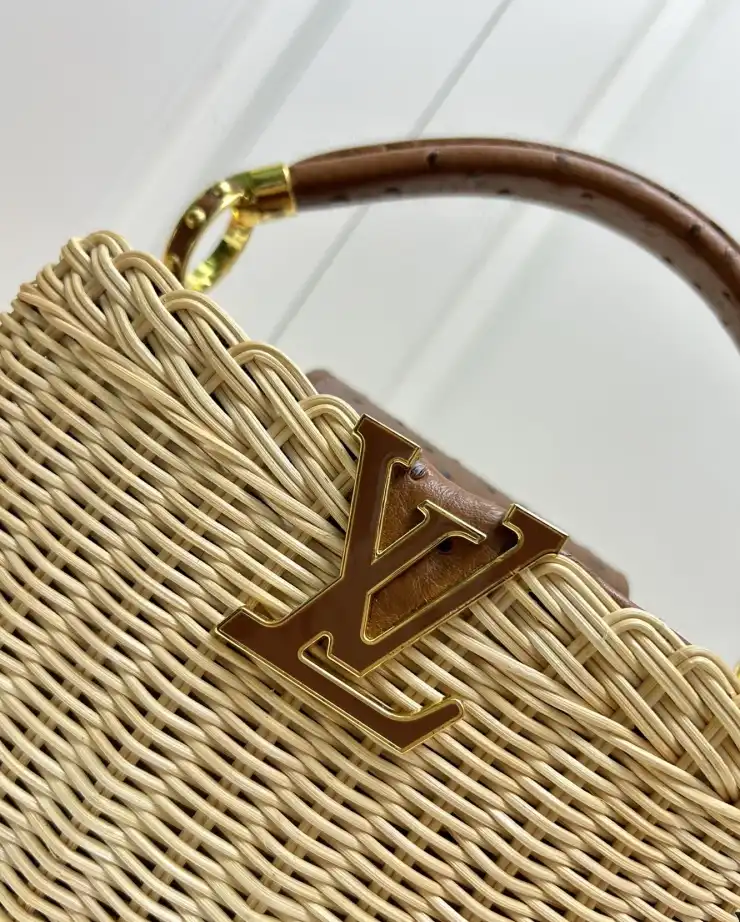 LV Capucines Bags 4224-1746