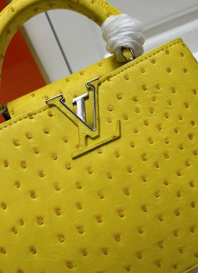 LV Capucines Bags 4224-1774
