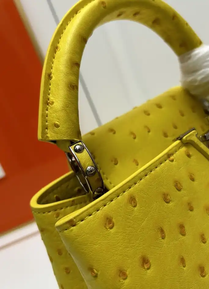 LV Capucines Bags 4224-1774