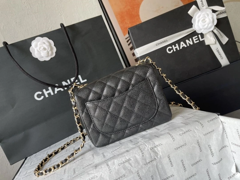 Ch**el cf series bags 4224-1905