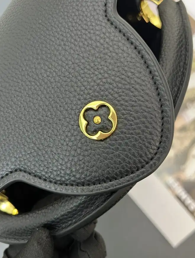 LV Capucines Bags 4224-2016