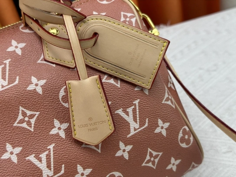 LV Speedy Bags 4233H-1259