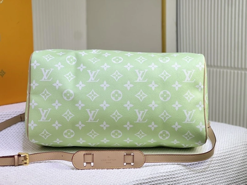 LV Travel Bags 4233H-1504