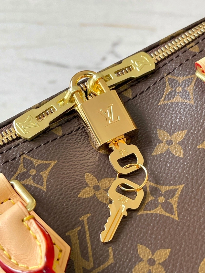 LV Speedy Bags 4233H-1693