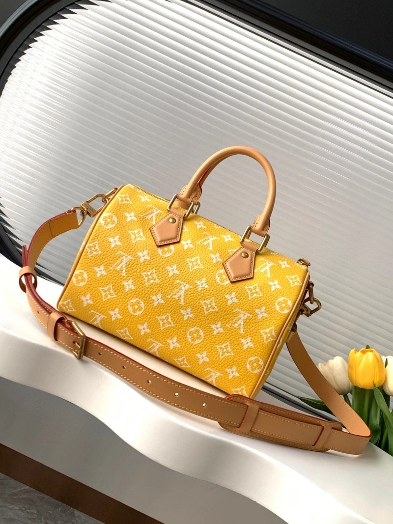 LV Speedy Bags 4233H-2566