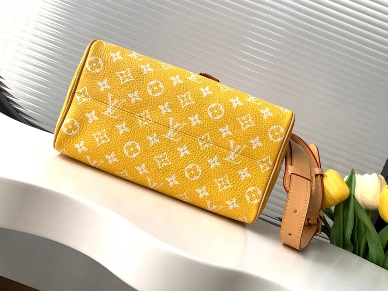 LV Speedy Bags 4233H-2566