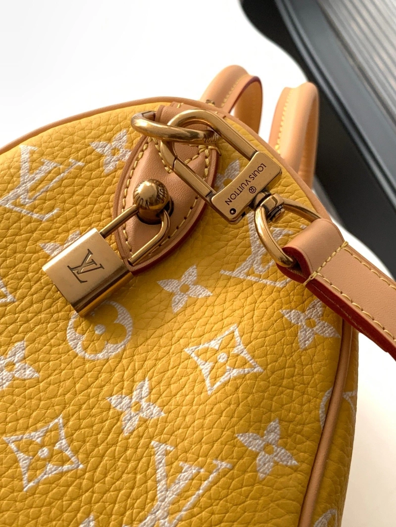 LV Speedy Bags 4233H-2566