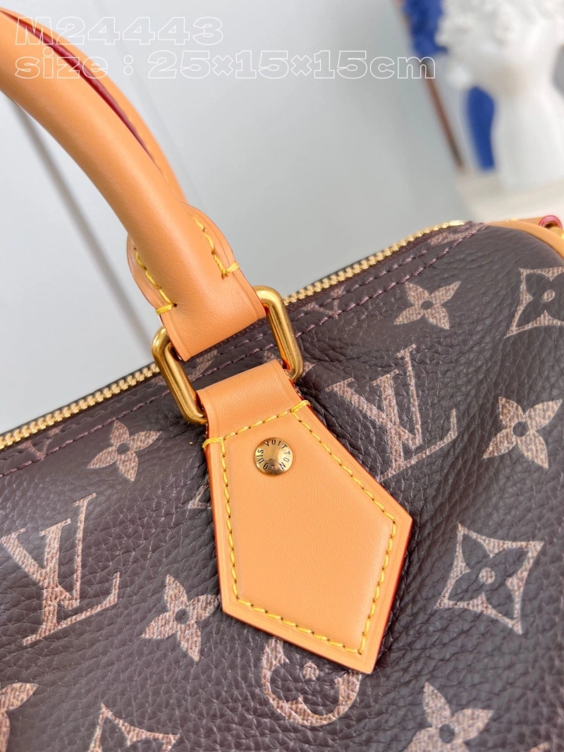 LV Speedy Bags 4286G-0200