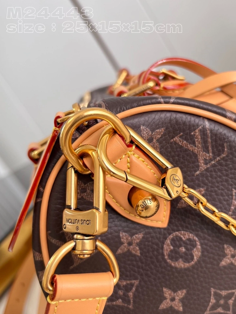 LV Speedy Bags 4286G-0200