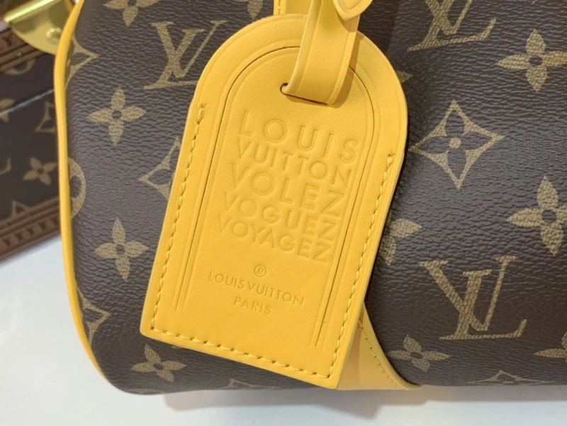 LV Travel Bags 4365A-0129