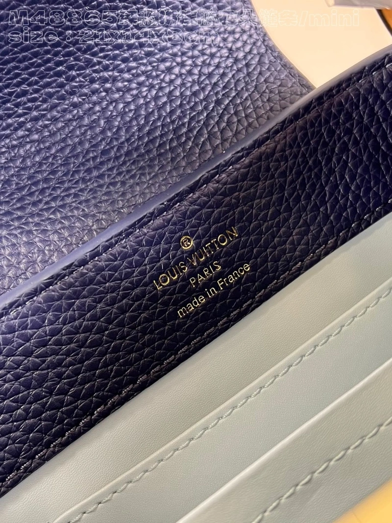 LV Capucines Bags 4365G-0032