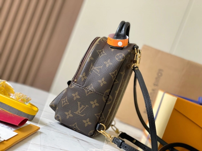 LV Backpacks 4365I-0109