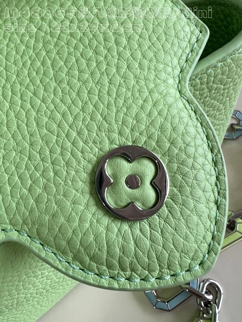 LV Capucines Bags 4365I-0452